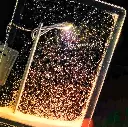1000008422.webp